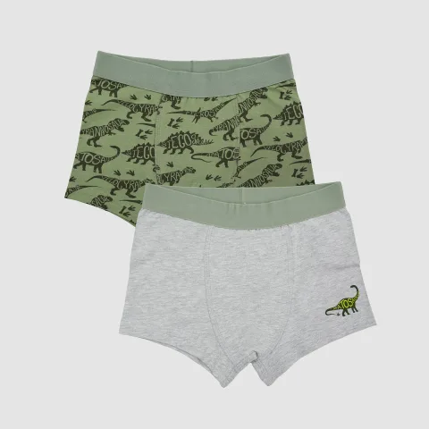 Boys' Cotton Trunk -DINO All Over Print Pack Of 2
