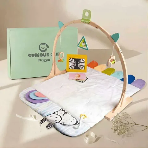 Play Gym