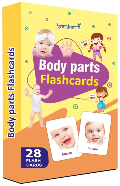 Premium Parts of The Body Flash Cards for Kids Early Learning