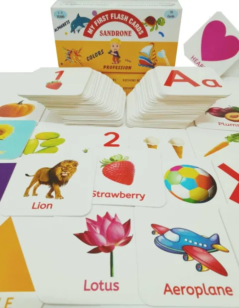 Premium All in One Flash Cards for Kids Toys for 1-6 Years Old Boy and Girls (Laminated Non-Tearable