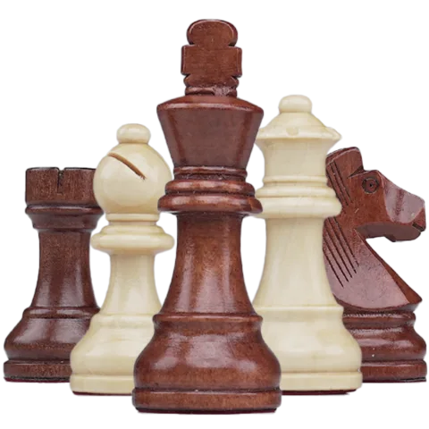Wooden Chess Pieces - Pro
