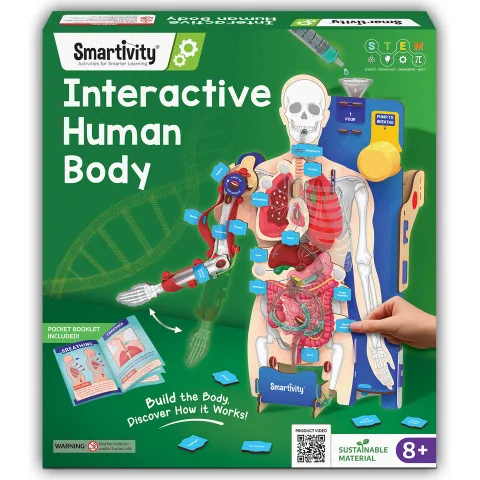 Interactive Human Body Model