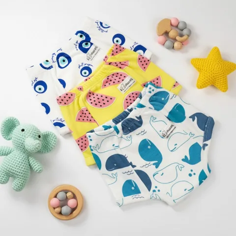 Potty Training Pants Playtime Trio EVIL,MELON & WHALE - Pack of 3