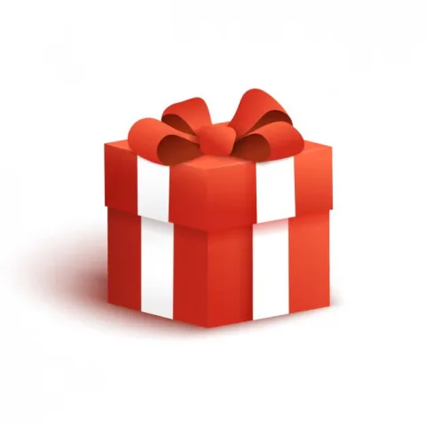 Free Surprise Gift
