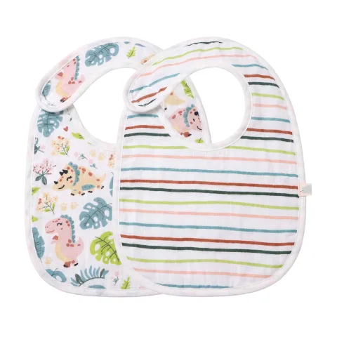 Bibs for Newborns - Dino Girl