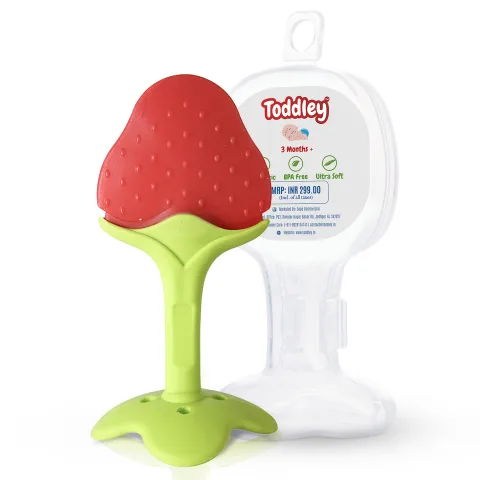 Fruit Shape 100% Silicone Teethers with Case - Multicolor - For 3+ Months