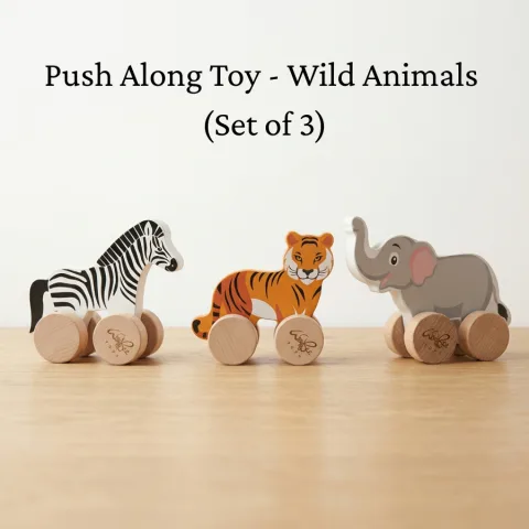 Push Along Toy - Wild Animals (Set of 3)