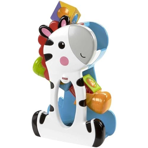 Fisher-Price Rolleroo Soft Roller Toy