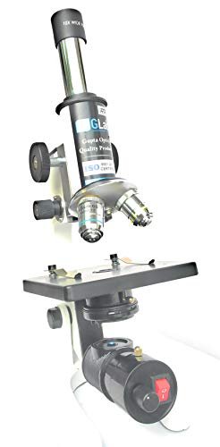 Junior Microscope with Slide Kit (20x–40x magnification)