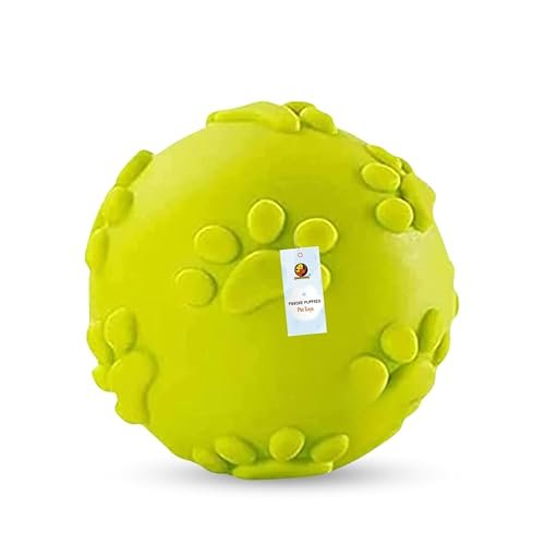 Toyshine Squeaky Rubber Ball