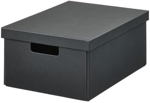 IKEA Patrull Lockable Storage Box with Lid — buy on Amazon India